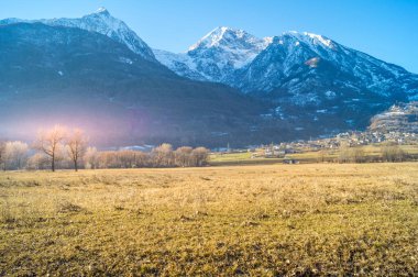 ağaçlar ve mavi gökyüzü ile orman yolu