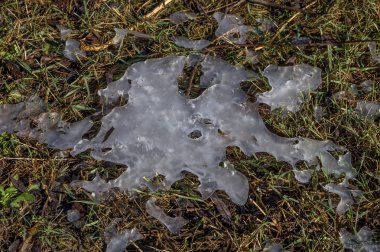 ağaçlar ve mavi gökyüzü ile orman yolu