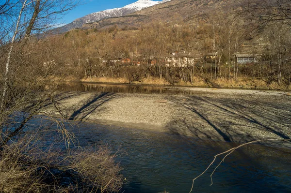 Ağaçlar Mavi Gökyüzü Ile Orman Yolu — Stok fotoğraf