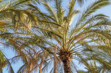 İtalyan plaj kışın avucunda