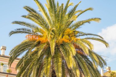 İtalyan plaj kışın avucunda