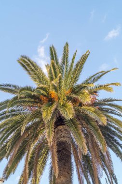 İtalyan plaj kışın avucunda