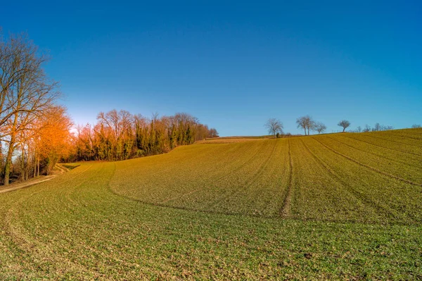 Hill Countryside Outskirts Turin Winter — Stock Photo, Image