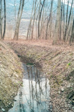 Ormanda kötü hava günde