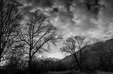 ağaç ve dağlar dramatik Panoraması