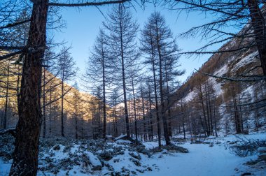 Karda dağ manzarası
