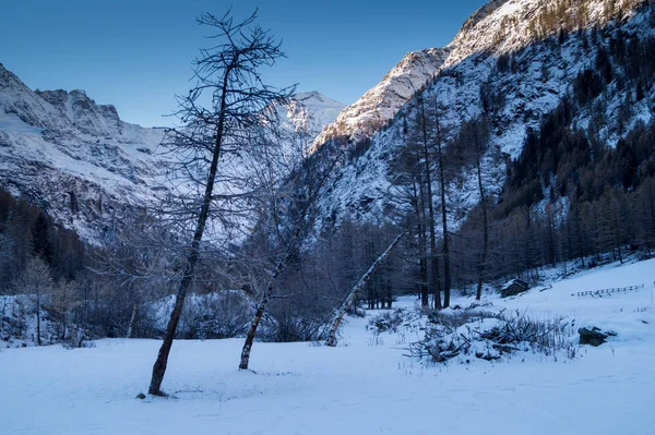 Karda Dağ Manzarası — Stok fotoğraf