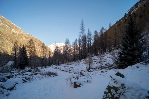 Karda Dağ Manzarası — Stok fotoğraf