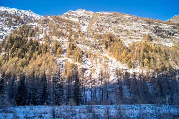 Karda Dağ Manzarası — Stok fotoğraf