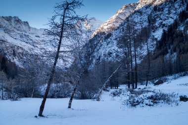 Karda dağ manzarası