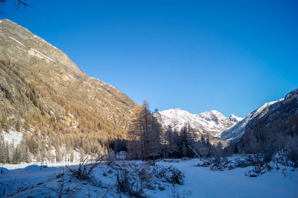 雪の中の山の風景 — ストック写真
