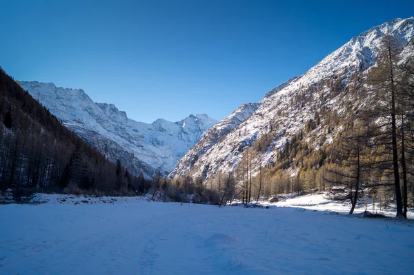 Paysage Montagne Dans Neige — Photo