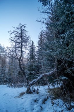 Karda dağ manzarası
