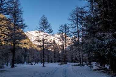 Karda dağ manzarası
