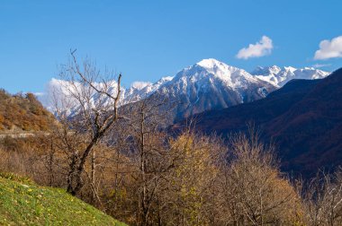 Derma Panorama adlı güneşli bir bahar
