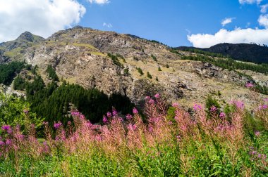 Yaz güneşli bir günde dağ Panorama