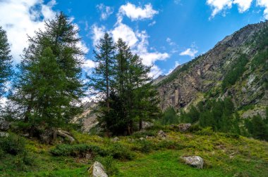 Yaz güneşli bir günde dağ Panorama