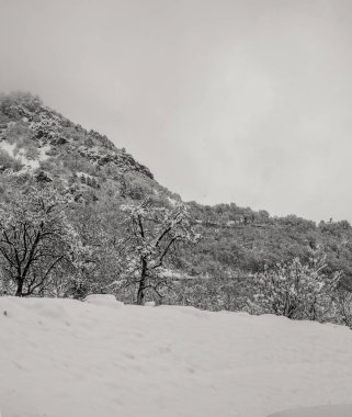 Kışın kar ile dağ panorama