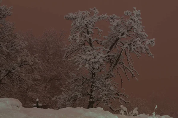 Panorama Montaña Por Noche Con Nieve — Foto de Stock