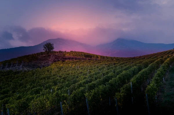 Colina Atardecer Con Montañas Fondo — Foto de Stock