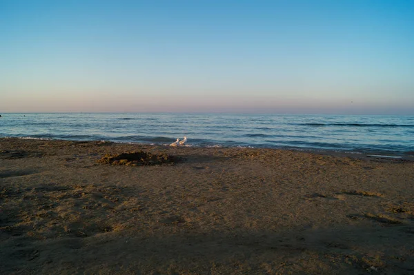 海滩上的落日 — 图库照片