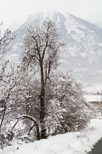 Moutain Panorama Con Nieve Invierno —  Fotos de Stock