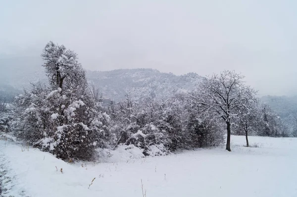 Moutain Panorama Con Nieve Invierno —  Fotos de Stock