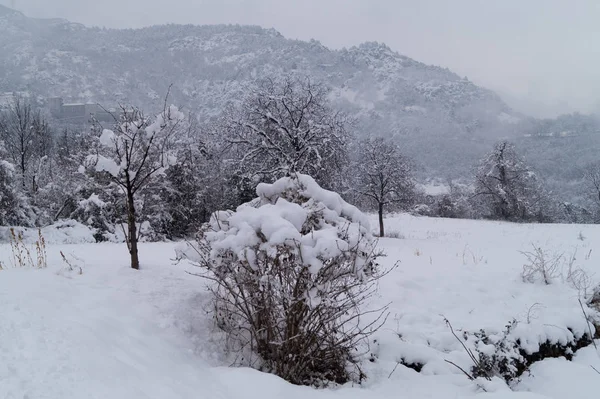 Moutain Panorama Con Nieve Invierno —  Fotos de Stock