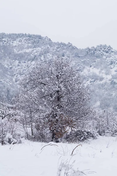 Moutain Panorama Con Nieve Invierno —  Fotos de Stock