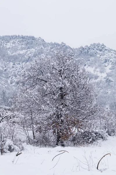 Moutain Panorama Con Nieve Invierno —  Fotos de Stock