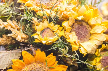 ön planda Kuru çiçekler bileşimi