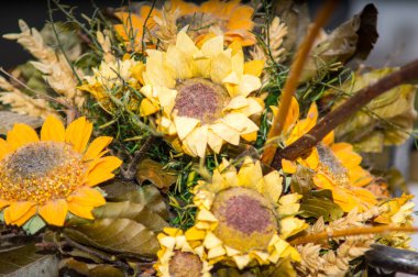 ön planda Kuru çiçekler bileşimi