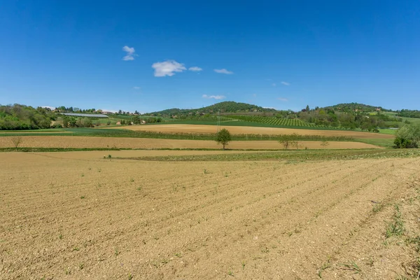 Campos Extensiones Césped Turín Tierras Agrícolas Cultivos — Foto de Stock