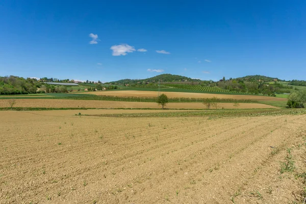 トリノの芝生の畑と広がり 農地と栽培 — ストック写真