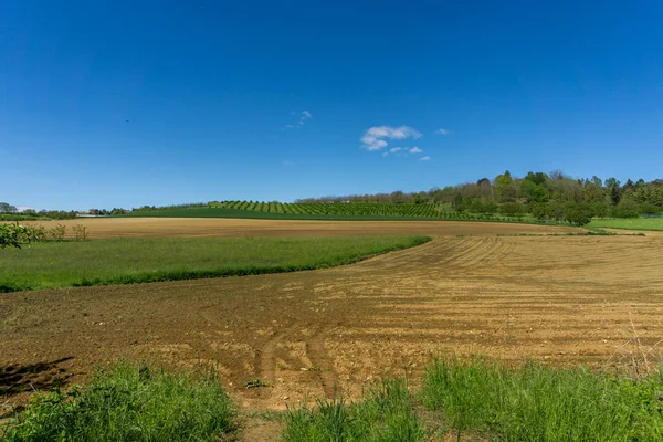 Champs Pelouses Turin Terres Agricoles Cultures — Photo