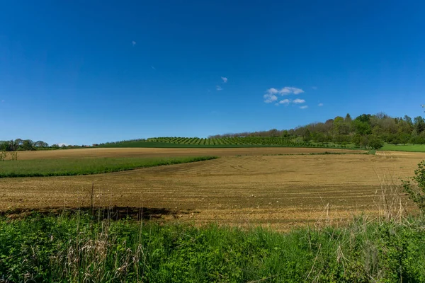 Fields Expanses Lawns Turin Agricultural Land Cultivation — Stock Photo, Image