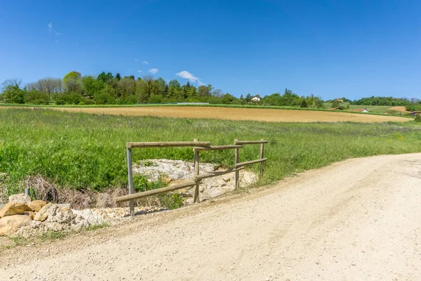 Champs Pelouses Turin Terres Agricoles Cultures — Photo