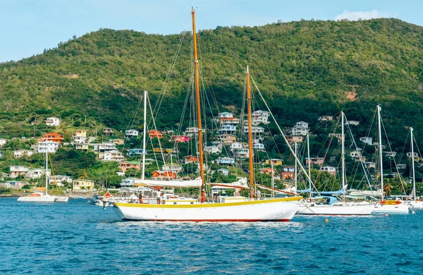 Boten Grote Jachten Marina Naast Bequia Eiland Saint Vincent Grenadines — Stockfoto