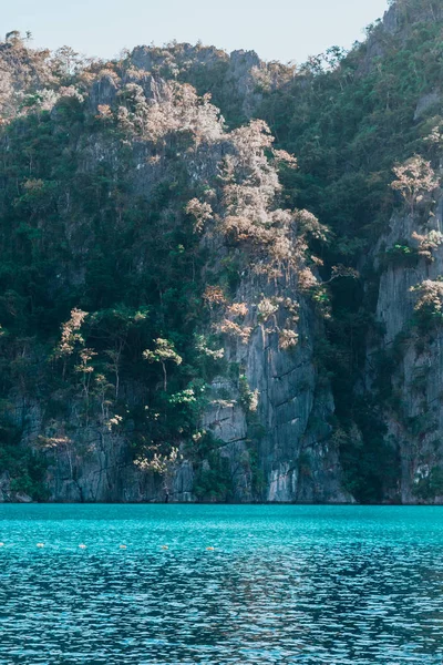 卡扬甘湖的蓝水 科龙岛之旅 菲律宾 — 图库照片