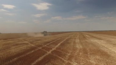 Biçerdöver kaldırır altın buğday birleştirin. Görünümü top, 4 k robot