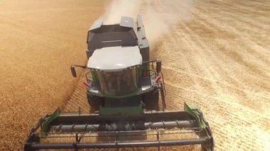 Biçerdöver kaldırır altın buğday birleştirin. Görünümü top, 4 k robot