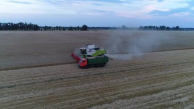 Biçerdöver kaldırır altın buğday birleştirin. Görünümü top, 4 k robot