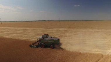 Biçerdöver kaldırır altın buğday birleştirin. Görünümü top, 4 k robot