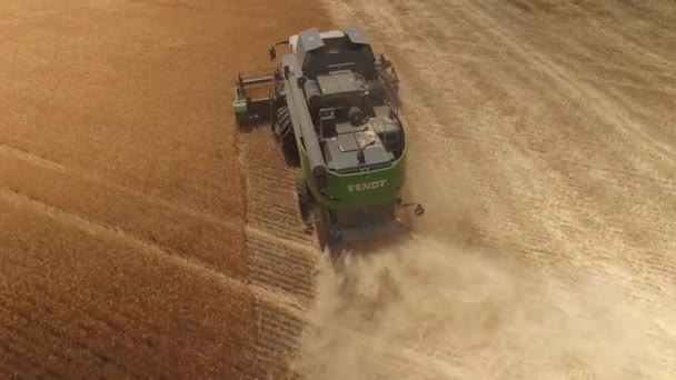 Combiner moissonneuse enlève le blé d'or. Vue de dessus, drone 4k — Video