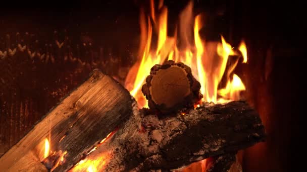 Un feu brûle dans une cheminée close-up — Video