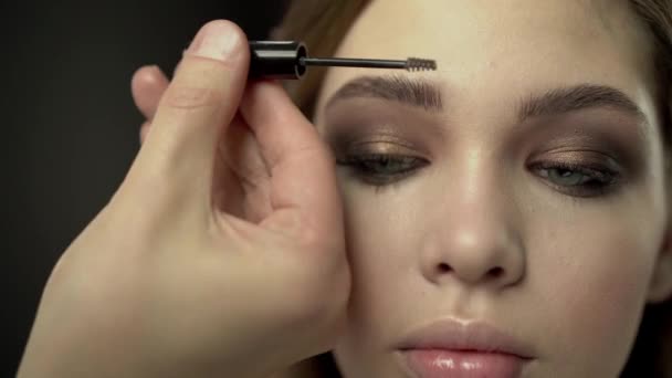 L'truccatrice. trucco professionale — Video Stock