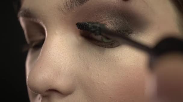 De make-up artiest. professionele make-up — Stockvideo