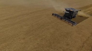 Fendt İdeal. Alan 4k video havadan görünümünde buğday hasat üzerinde Uçuş.