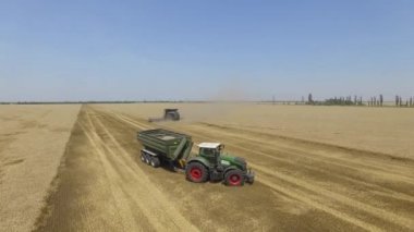 Fendt İdeal. Alan 4k video havadan görünümünde buğday hasat üzerinde Uçuş.