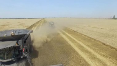 Fendt İdeal. Alan 4k video havadan görünümünde buğday hasat üzerinde Uçuş.